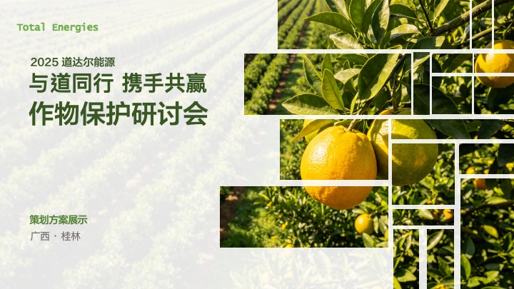 研讨会策划案第1页